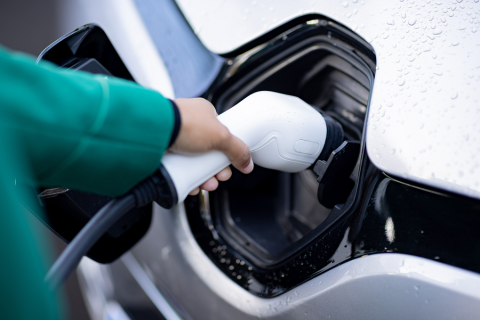 Les véhicules électriques plébiscités par les Français dans leur quotidien 